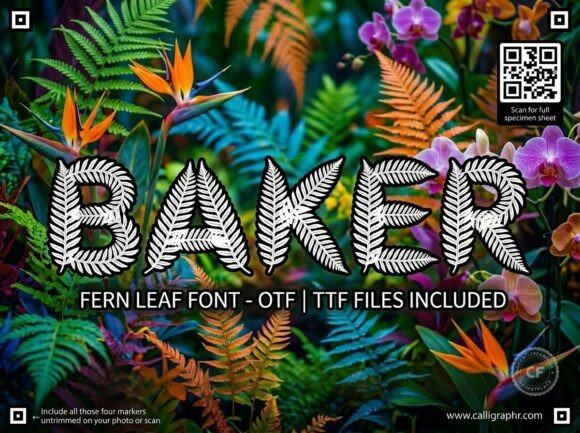 Baker Font for Bold Brand Statements